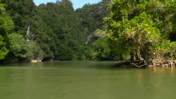 Desde el barco flotando en el río en el bosque de manglares — Vídeos de Stock