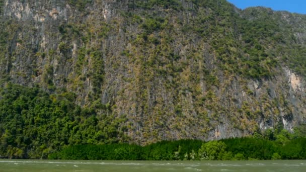 Θέα από το τεράστιο κεφάλι του απότομου βράχου με σπάνια δέντρα πάνω από τα κύματα του ποταμού — Αρχείο Βίντεο