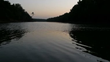 Kuşlar, düşük su üzerinde uçmak ve palmiye Nehri üzerinde eğilir