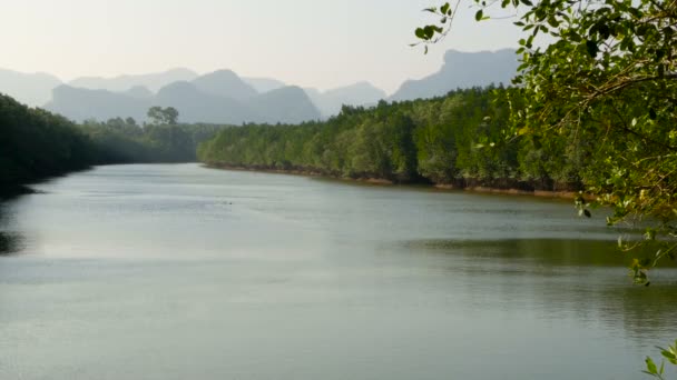 Pôr do sol paisagem do rio em manguezal floresta contra as montanhas — Vídeo de Stock