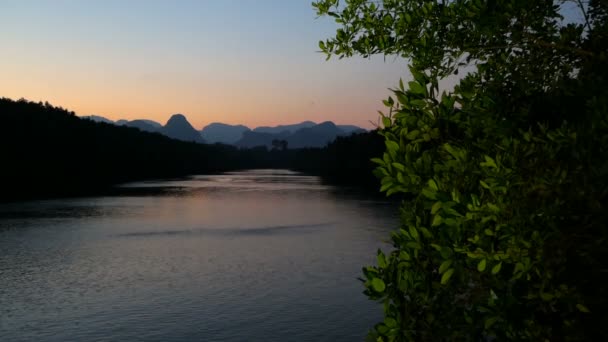 La luz parpadea sobre el río con un árbol verde en primer plano — Vídeos de Stock