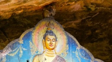 Maymun oynamak altın buddha oturan.