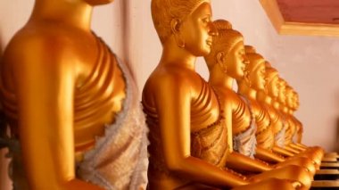 Bir sırada oturan altın Buda heykelleri.