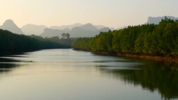 Paisaje al atardecer del río en bosque de manglares contra las montañas — Vídeos de Stock