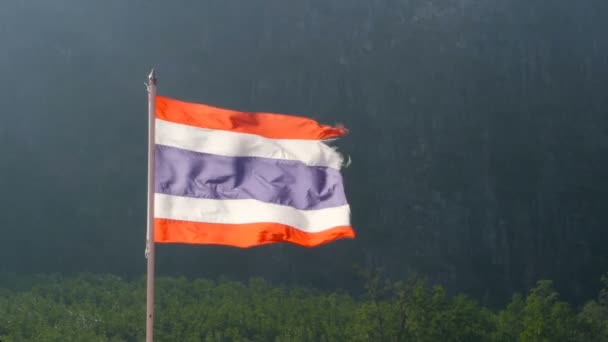 Simbol nasional Thailand dalam sinar matahari — Stok Video
