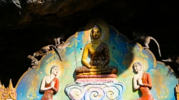 Monkeys Zagraj nad golden siedzący Budda. — Wideo stockowe