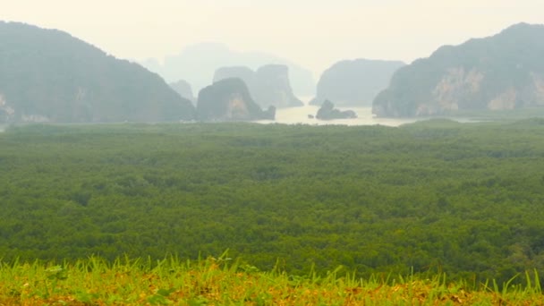 Las plantaciones de hileras de palmeras aceiteras se ven desde arriba. Paisaje tropical . — Vídeos de Stock