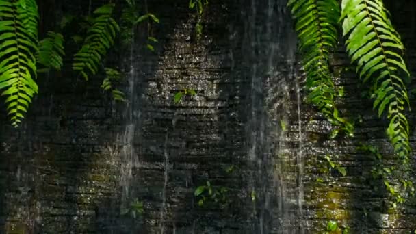 Cascata con piante verdi decorazione di fronte per lo sfondo — Video Stock