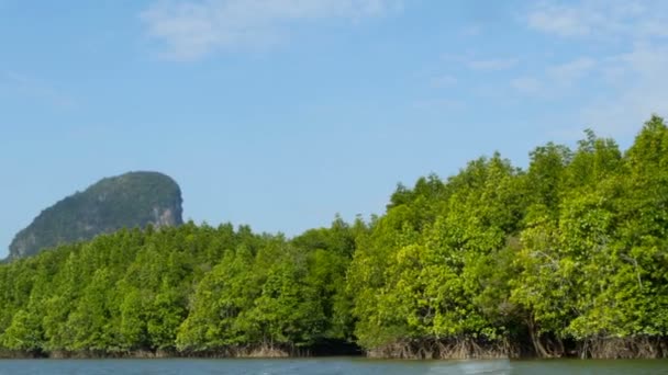 Das Boot segelt an einem exotischen Regenwald vorbei — Stockvideo