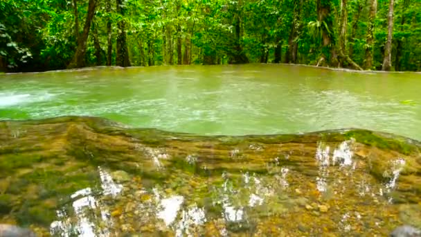 Brillante piscina natural colorida en la selva tropical exótica. Paisaje de selva tropical — Vídeo de stock