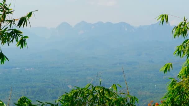 Vista do vale com montanhas no fundo através das folhas de bambu — Vídeo de Stock