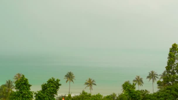 Райский остров экзотический пляж, тропические растения перед дождём, парящие на ветру — стоковое видео