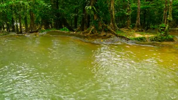 Heldere kleurrijke natuurlijke zwembad in de exotische regenwoud. Tropische jungle landschap — Stockvideo
