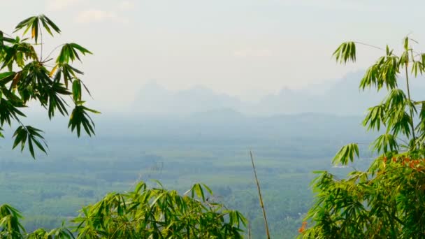 Vista do vale com montanhas no fundo através das folhas de bambu — Vídeo de Stock