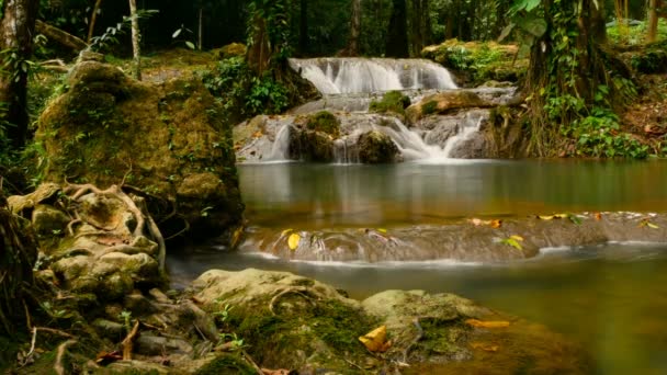 Helder water stroomt omlaag stromen van waterall stroomversnellingen in tropisch regenwoud — Stockvideo