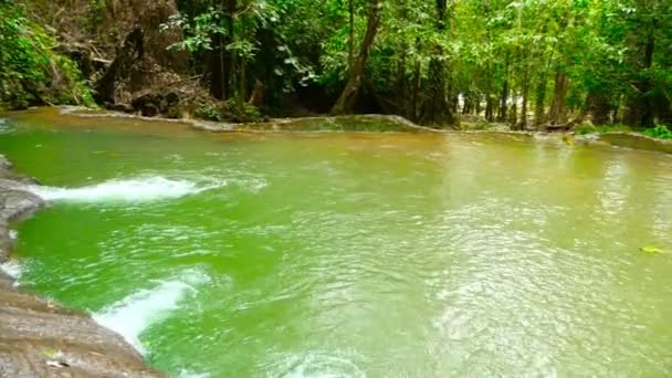 Heller, farbenfroher natürlicher Pool im exotischen Regenwald. tropische Dschungel-Landschaft — Stockvideo
