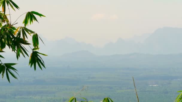 Vista sulla valle con montagne sullo sfondo attraverso le foglie di bambù — Video Stock
