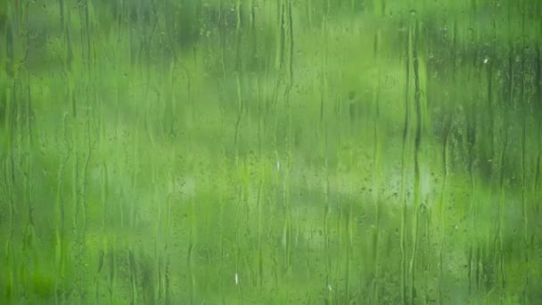 Краплі дощу течуть по поверхні склянки проти соковитої зелені — стокове відео