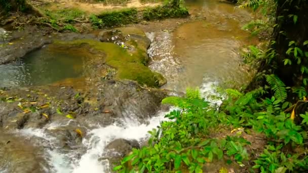 Helder water stroomt omlaag stromen van waterall stroomversnellingen in tropisch regenwoud — Stockvideo