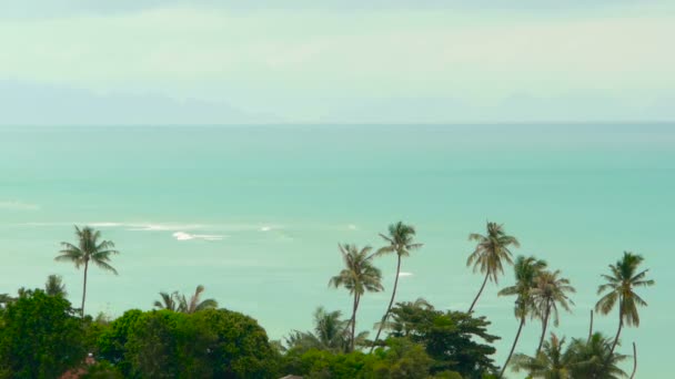 Paraíso isla exótica playa, plantas tropicales antes de lluvia intercambio en el viento — Vídeos de Stock