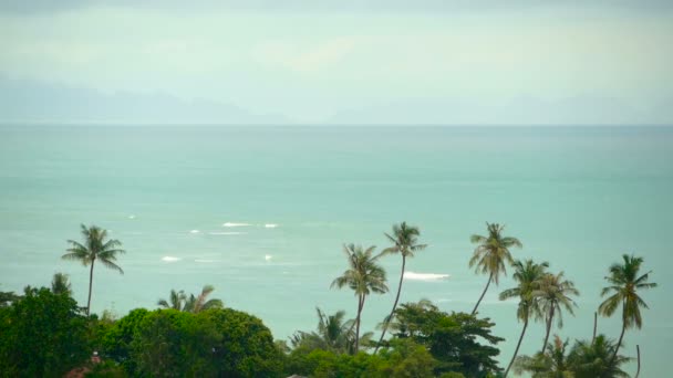 Paradise île plage exotique, plantes tropicales avant la pluie grouillant dans le vent 