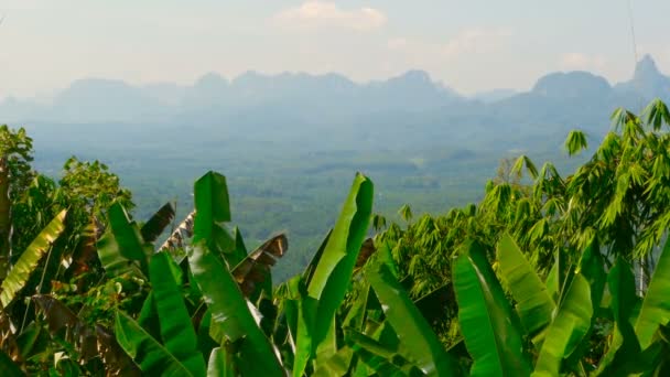 Vista do vale com montanhas ao fundo — Vídeo de Stock