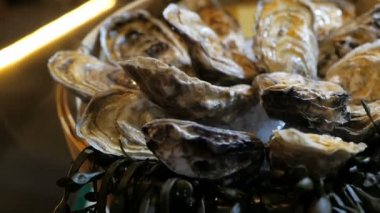 Natürmort buz üzerinde taze istiridye ve bir lüks restoranda bir plaka üzerinde yatıyor