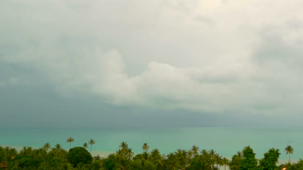 Paradijs eiland exotische strand, tropische planten voor swaing van de regen in de wind — Stockvideo