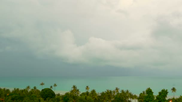 Paradise island egzotikus beach, trópusi növények, mielőtt a szélben eső swaing — Stock videók