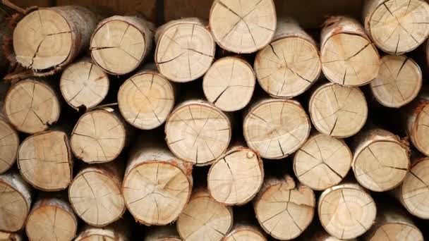 Holzstämme neben Ziegelmauer platziert. Getrocknetes Brennholz gebrauchsfertig auf Hintergrund roter Ziegelwand — Stockvideo