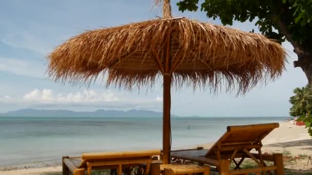 Sunshades on sea background. Sun umbrellas from straw and palm trees on ocean and sky background in Thailand. Relax, Travel vacation holiday resort concept. — Stock Video