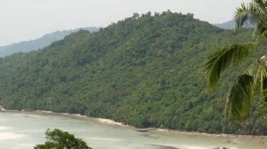 Samui Adası ağaçlar ve bitkilerle doludur. İnanılmaz tropikal eksopik dağ cenneti manzarası. Rahatlayın, seyahat tatili ve çevre koruma kavramı. Arkaplan.