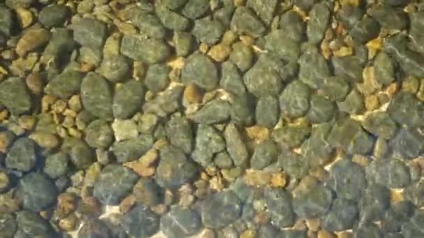 Limpar pedras redondas claramente visíveis na água cristalina. De cima de água cristalina limpa e seixos amarelos cinzentos redondos no fundo à beira-mar ou rio de montanha na Tailândia. Fundo natural — Vídeo de Stock