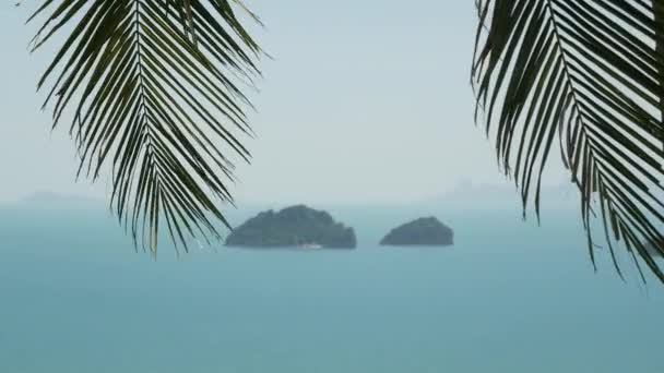 Cinq îles Sisters dans une surface d'eau sereine. Paysage enchanteur, verdure et eaux calmes profondes, Samui Thaïlande. Détendez-vous vacances concept de villégiature de vacances. Oeil d'oiseau panoramique vue aérienne sur le dessus du drone — Video