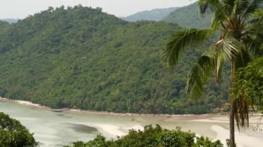 Samui Adası ağaçlar ve bitkilerle doludur. İnanılmaz tropikal eksopik dağ cenneti manzarası. Rahatlayın, seyahat tatili ve çevre koruma kavramı. Arkaplan.
