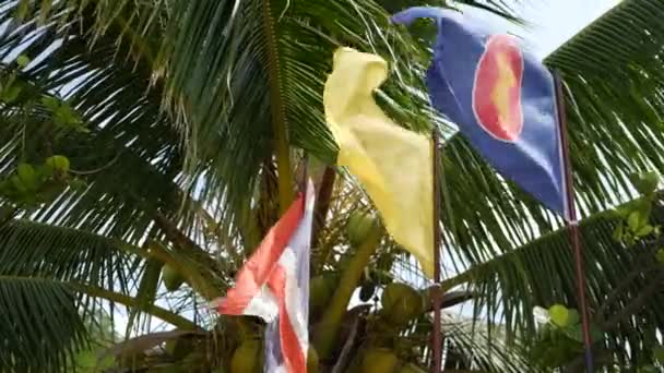 Drie vlaggen wapperen tegen tropische bladeren. Symbool van Asean fladderen in de buurt van vlaggen van Thailand en Thaise koning tegen groene bladeren van exotische palmbomen op winderige dag. Gemeenschap van Aziatische naties. — Stockvideo