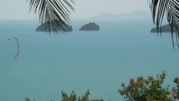 Fem systeröar i fridfullt vatten. Förtrollande landskap, grönska och djupt lugnt vatten, Samui Thailand. Koppla av resor semester resort koncept. Bird eye panorama antenn drönare ovanifrån — Stockvideo