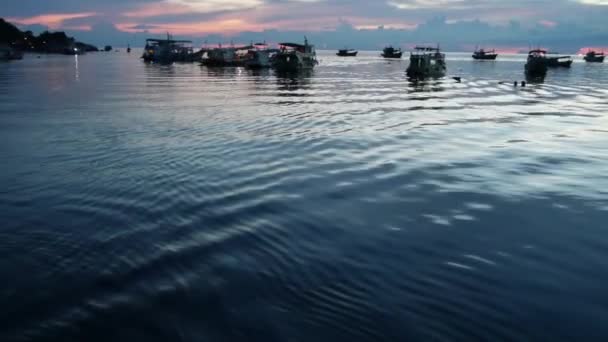 Barcos flotando en el mar en el puerto durante la puesta del sol. Barcos de pesca y buceo en la superficie del océano ondulante en el puerto de Koh Tao, puesta de sol en Tailandia. Paraíso tropical noche romántico fondo natural — Vídeo de stock