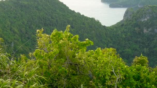 Пташині очі панорамний вид на острови в океані в національному парку морської піхоти Енг-Тонг поблизу туристичного тропічного курорту Самуї. Архіпелаг в Тайській затоці. Ідилічне природне походження — стокове відео