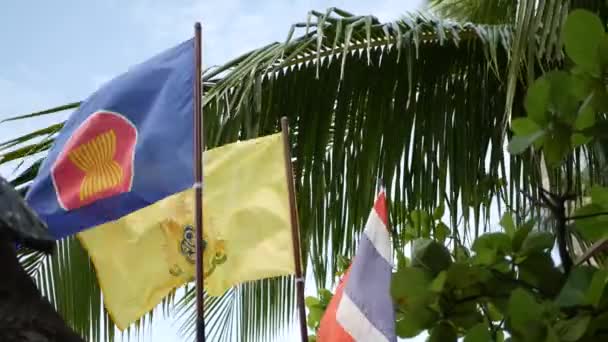 Tiga bendera melambai melawan daun tropis. Simbol ASEAN berkibar di dekat bendera Thailand dan Raja Thailand terhadap daun hijau pohon palem eksotis pada hari berangin. Komunitas bangsa-bangsa Asia konsep . — Stok Video