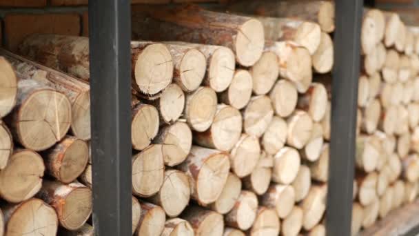 Drewniane kłody umieszczone przy ceglanej ścianie. Drewno opałowe suszone gotowe do użycia na tle ściany z czerwonej cegły — Wideo stockowe