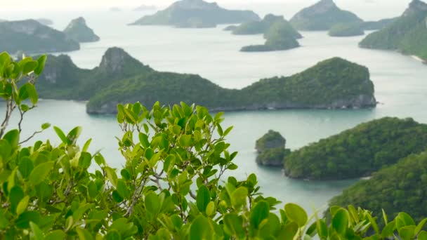 Fågelögon panoramautsikt över öar i havet vid Ang Thong National Marine Park nära turistiska Samui paradis tropiska resort. Skärgård i Thailändska viken. Idyllisk naturlig bakgrund — Stockvideo
