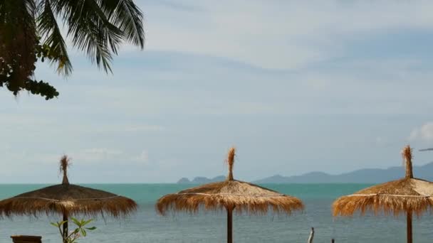 Parasoller på havet bakgrund. Solparaplyer från halm och palmer på hav och himmel bakgrund i Thailand. Koppla av, Resa semester resort koncept. — Stockvideo