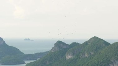Tropik adalara karşı uçan leylek sürüsünden. Yükselen kuşlar, özgürlüğün ve doğanın sembolü. Ulusal parklarda çevrenin korunması ve nesli tükenmekte olan hayvan türleri kavramı