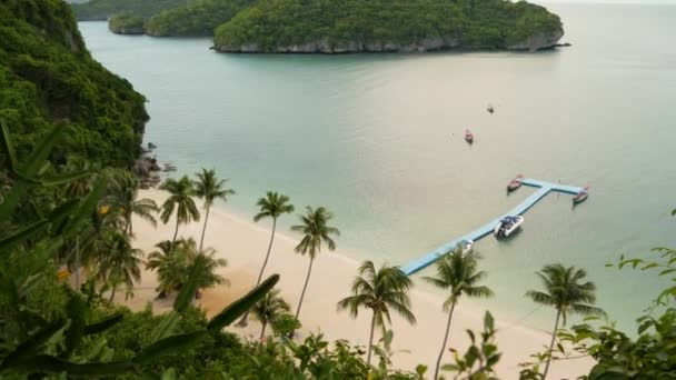 Mare calmo vicino alla giungla verde. Oceano tranquillo con acqua turchese, spiaggia tropicale di sabbia bianca nel parco nazionale di Ang Thong Paradise, Thailandia. Foresta pluviale e rocce. Spiaggia da sogno, relax e concetto di vacanza — Video Stock