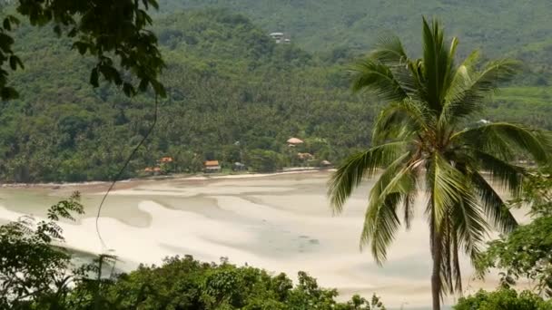 Samui Adası ağaçlar ve bitkilerle doludur. İnanılmaz tropikal eksopik dağ cenneti manzarası. Rahatlayın, seyahat tatili ve çevre koruma kavramı. Arkaplan. — Stok video