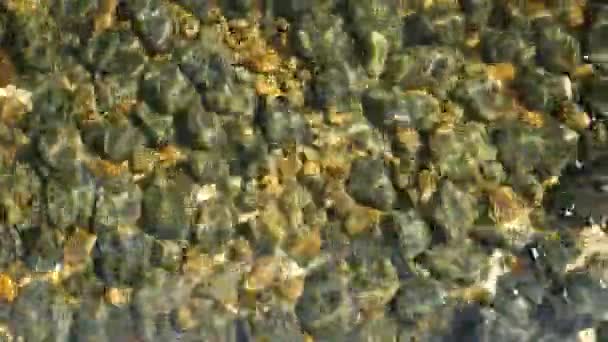 Clean round stones clearly visible in crystal water. From above clean crystal water and round grey yellow pebbles on seaside bottom or mountain river in Thailand. Natural background — Stock Video