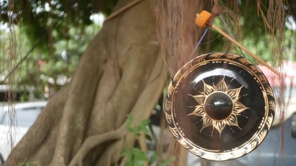 Small traditional gong hanging on background of old banyan tree in daylight. Symbol of buddhist religion. Tropical idyllic natural background. Zen meditation, retreat and enlightenment concept. — Stock Video