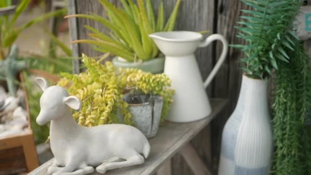 Vacker retroinredning och växter för trädgård. Uppsättning vaser och keramiska figurer i vintage stil för dekoration av gården. Modern snygg bakgrund. — Stockvideo