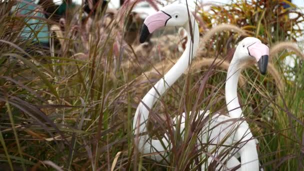 Uzun otların arasında Retro Flamingo. Bahçe manzarası, yüksek yeşil çimenler arasında kuşların dekoru. Bağbozumu bahçesinde çivili çubuklar. Modern stil tasarım arka planı — Stok video